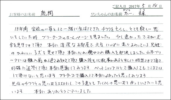 子犬お客様の声