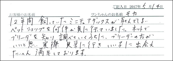 子犬お客様の声