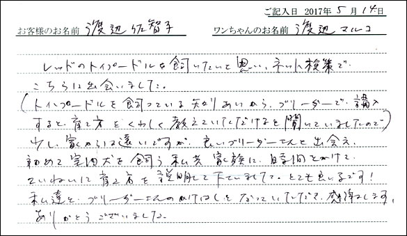 子犬お客様の声