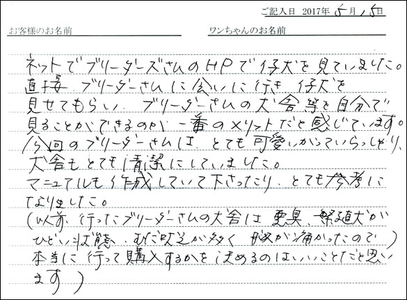 子犬お客様の声