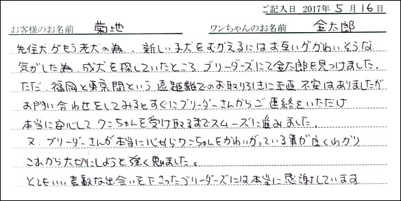 子犬お客様の声