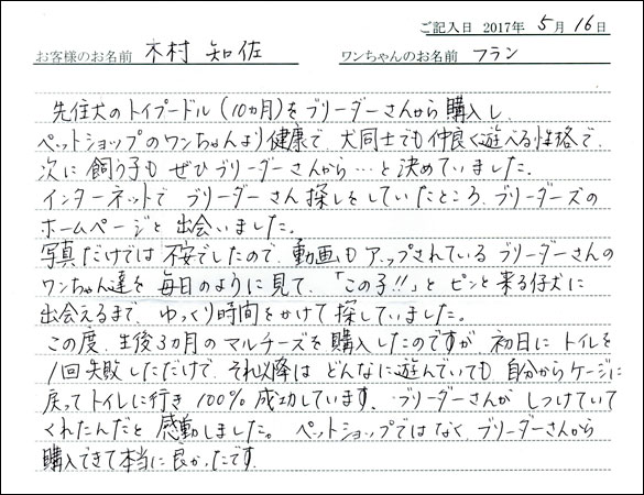 子犬お客様の声