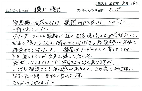 子犬お客様の声