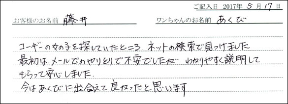 子犬お客様の声