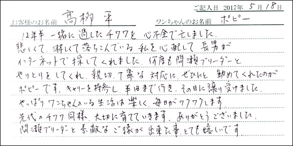 子犬お客様の声