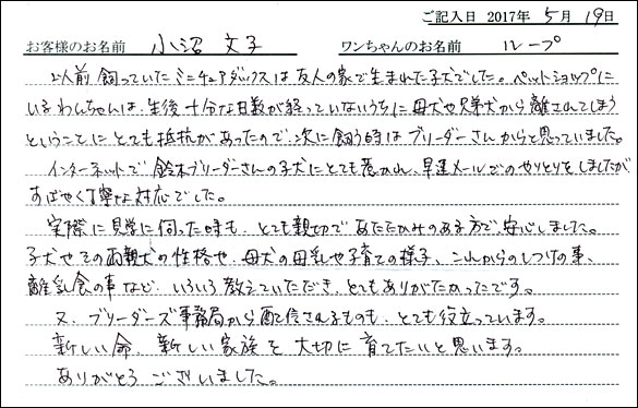 子犬お客様の声