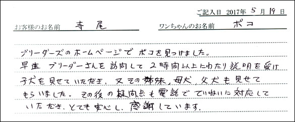 子犬お客様の声