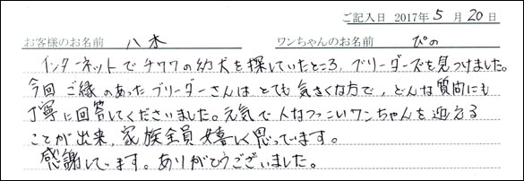 子犬お客様の声