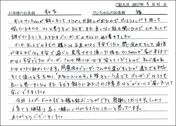 子犬お客様の声