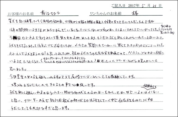 子犬お客様の声