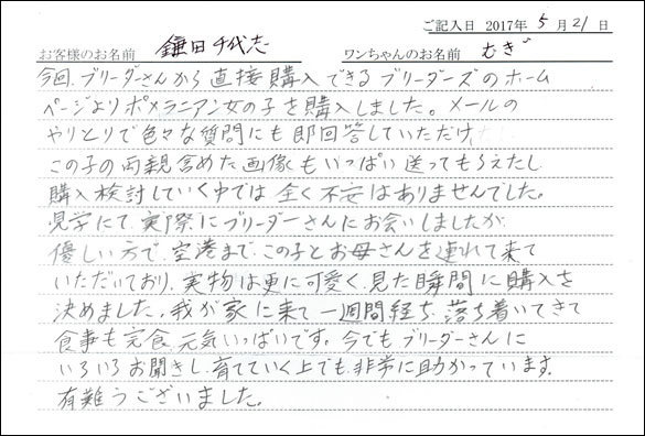子犬お客様の声