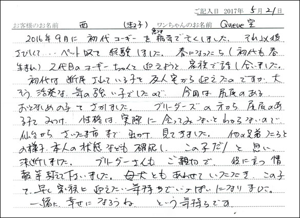 子犬お客様の声