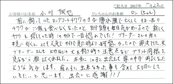 子犬お客様の声