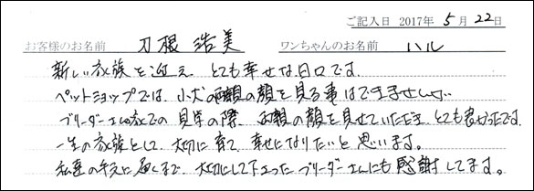 子犬お客様の声