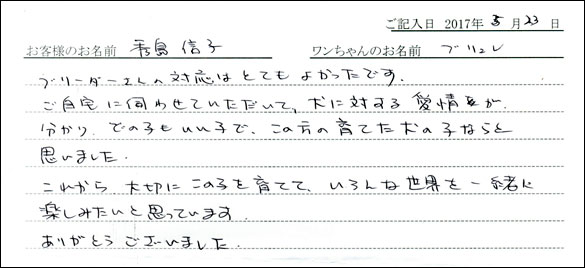 子犬お客様の声