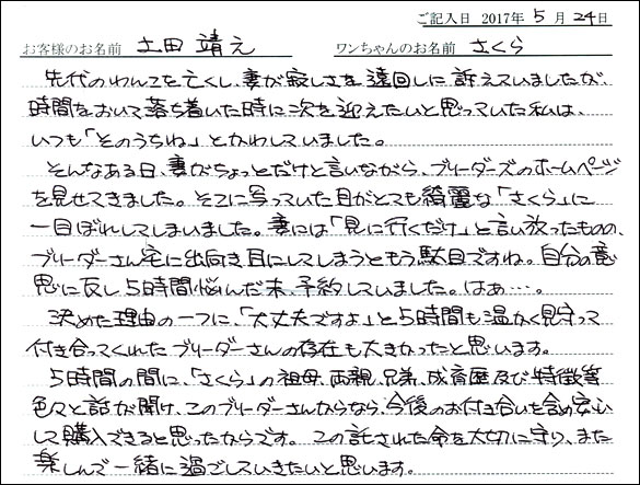 子犬お客様の声