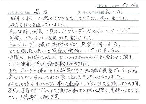 子犬お客様の声