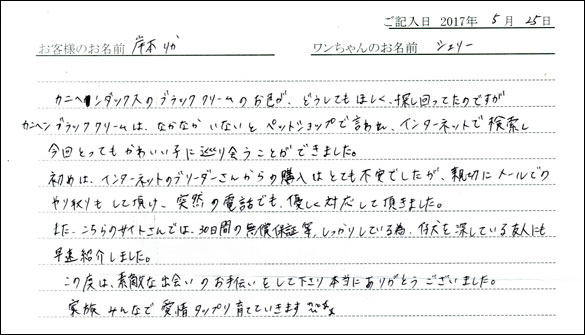 子犬お客様の声