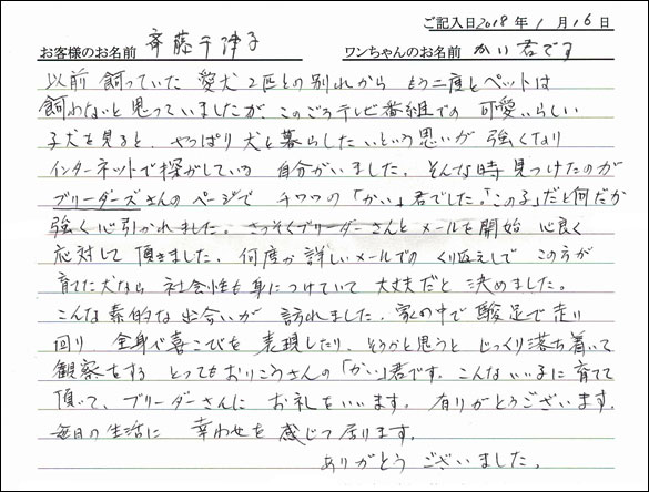 子犬お客様の声