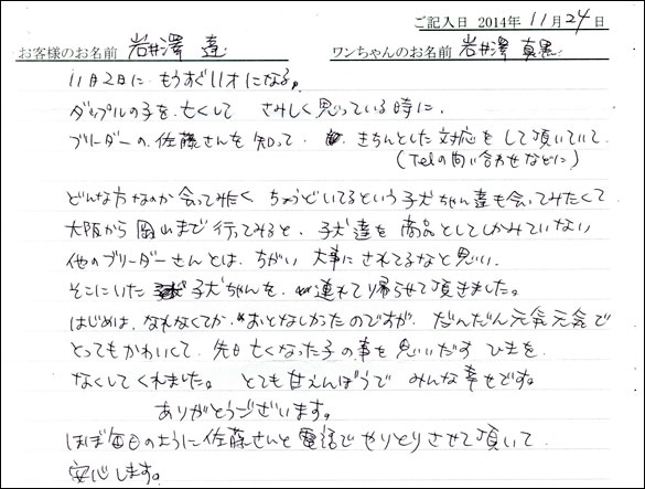 子犬お客様の声
