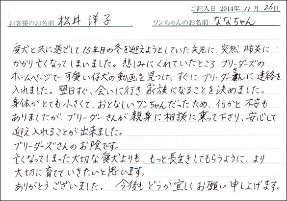 子犬お客様の声