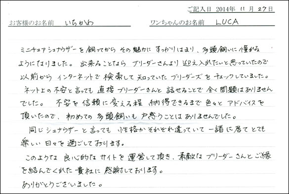 子犬お客様の声