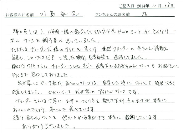 子犬お客様の声