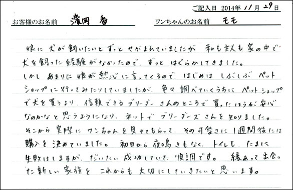 子犬お客様の声