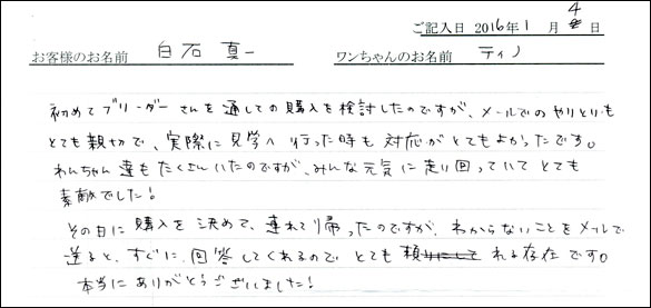 コッカーお客様の声