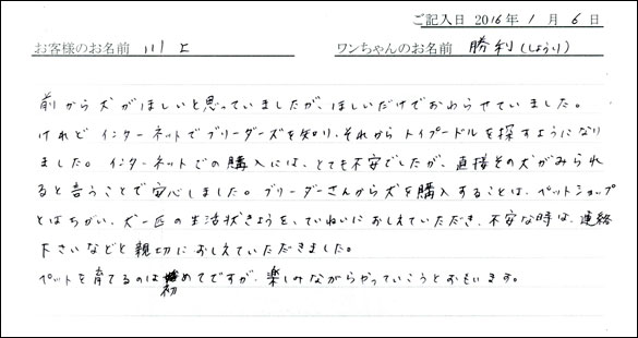 コッカーお客様の声