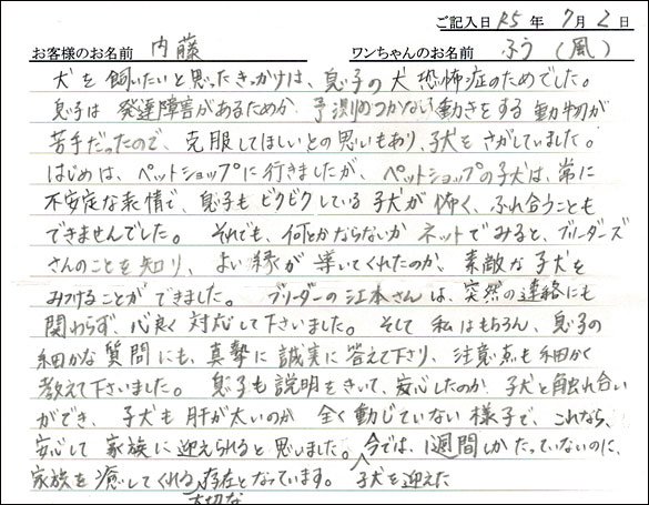 チワワお客様の声