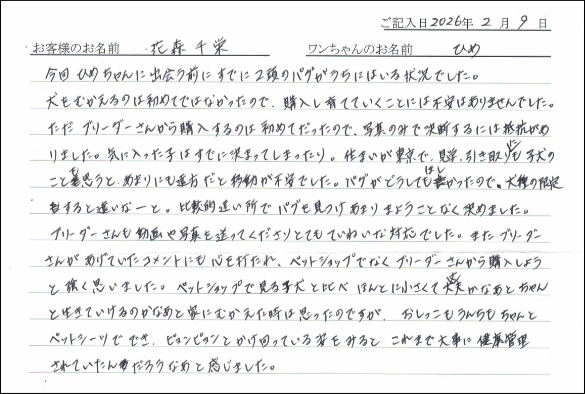 ジャックラッセルテリアお客様の声