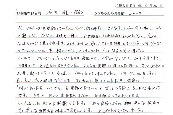 ミニチュアピンシャーお客様の声