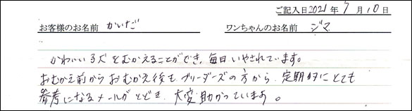 ミニチュアピンシャーお客様の声