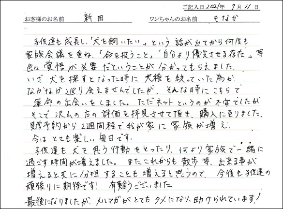 ミニチュアピンシャーお客様の声