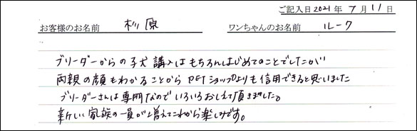 ミニチュアピンシャーお客様の声