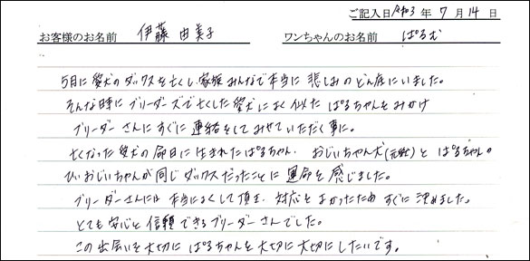 ミニチュアピンシャーお客様の声