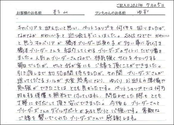 ミニチュアピンシャーお客様の声