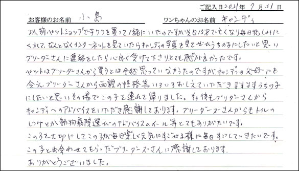 ミニチュアピンシャーお客様の声