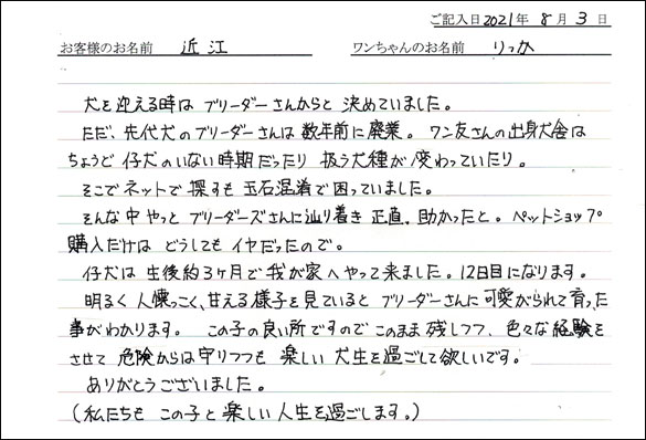 ミニチュアピンシャーお客様の声