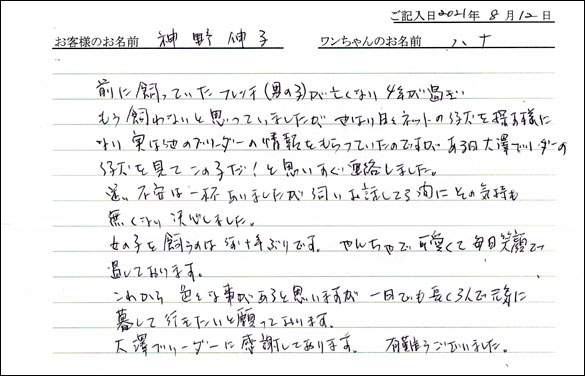 ミニチュアピンシャーお客様の声