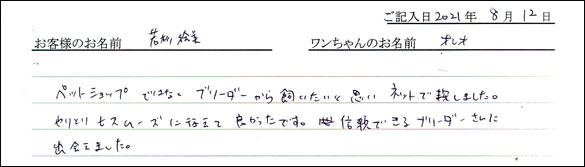ミニチュアピンシャーお客様の声