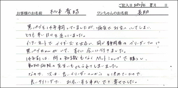 ミニチュアピンシャーお客様の声