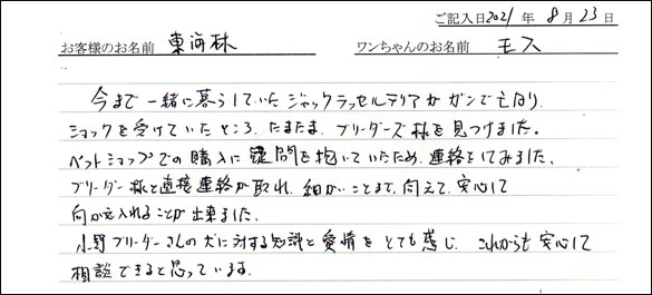 ミニチュアピンシャーお客様の声