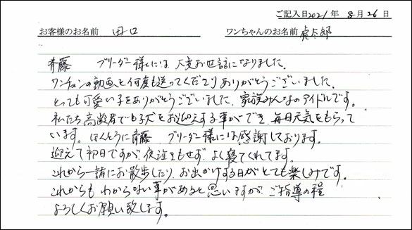 ミニチュアピンシャーお客様の声
