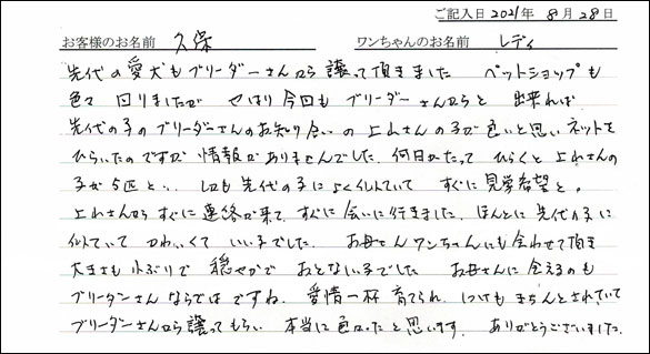 ミニチュアピンシャーお客様の声