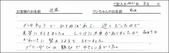 ミニチュアピンシャーお客様の声
