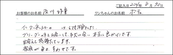 ミニチュアピンシャーお客様の声