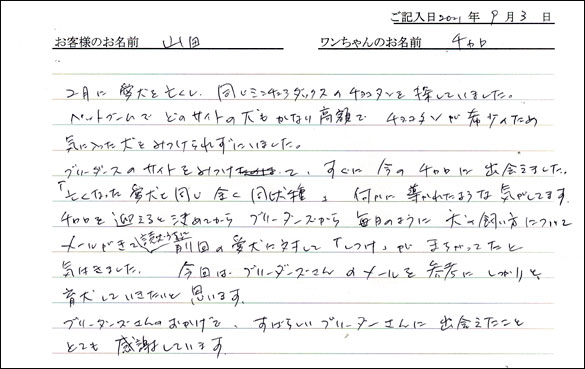 ミニチュアピンシャーお客様の声