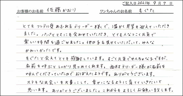 ミニチュアピンシャーお客様の声